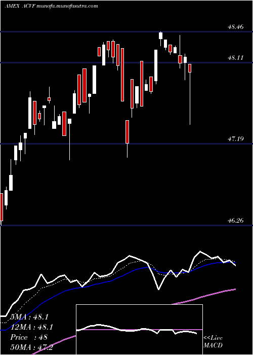  Daily chart AmericanConservative