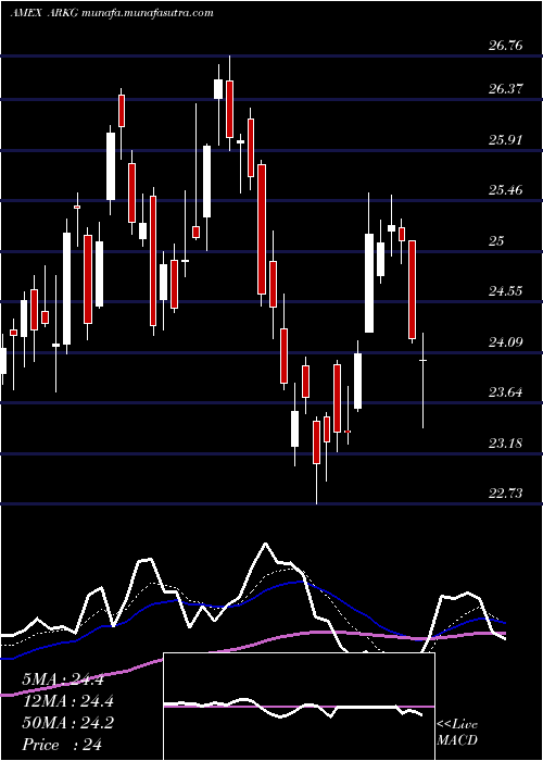  Daily chart ArkGenomic