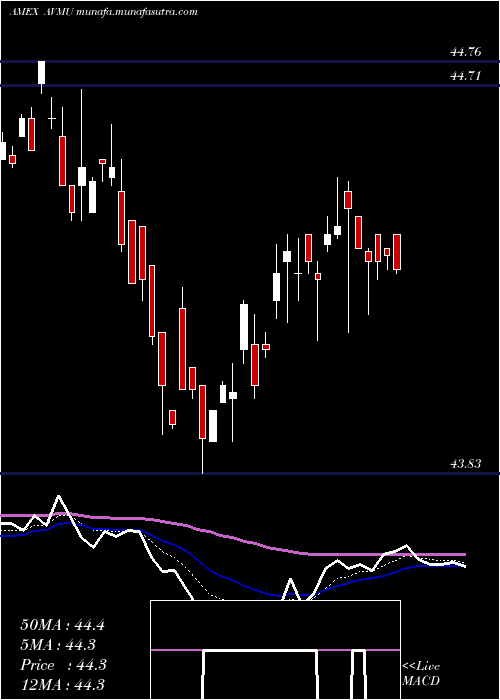  Daily chart AvantisCore