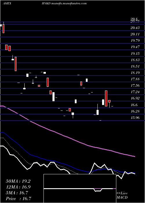  Daily chart Microsectors3x