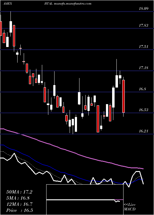  Daily chart UsAnti
