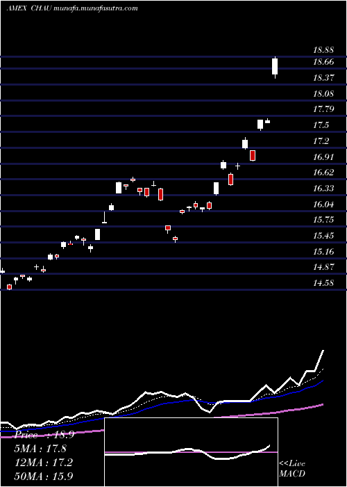  Daily chart DirexionDaily