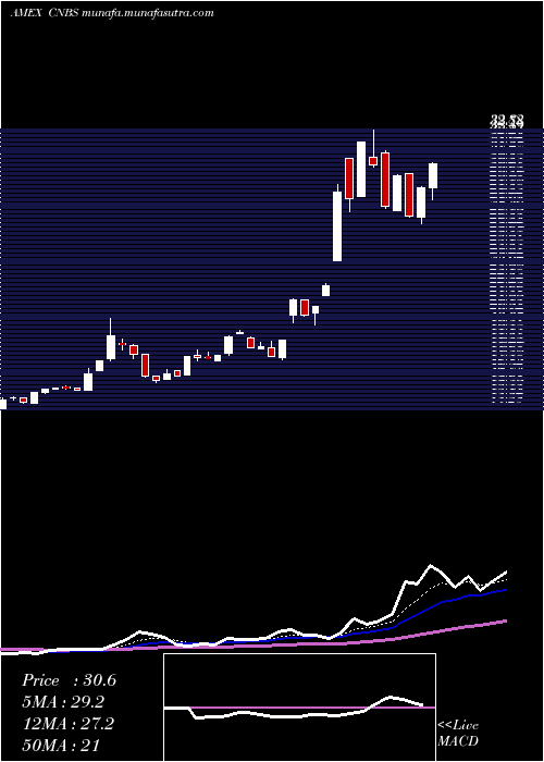  Daily chart AmplifySeymour