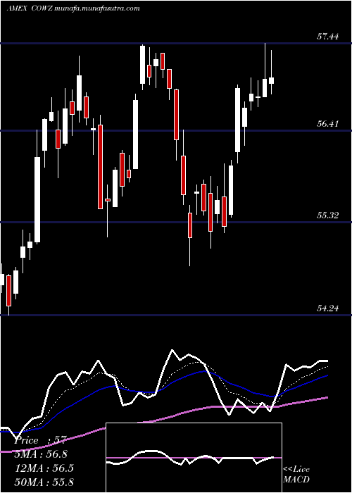  Daily chart PacerUs