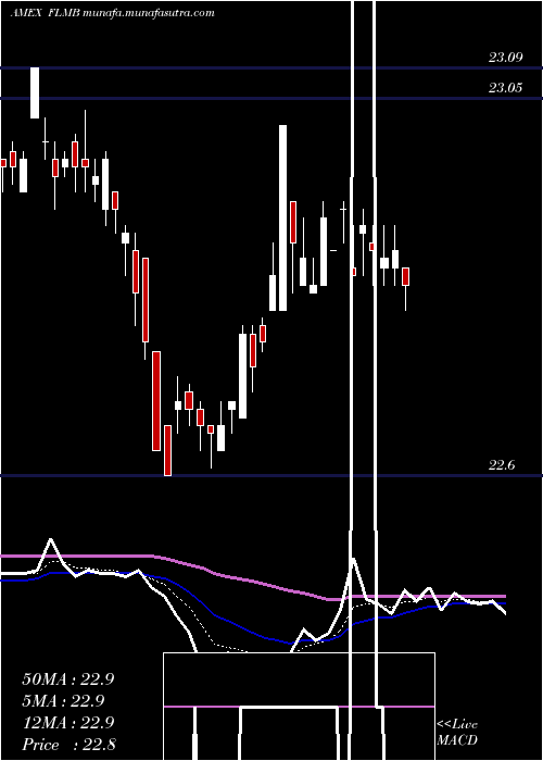  Daily chart FranklinLiberty