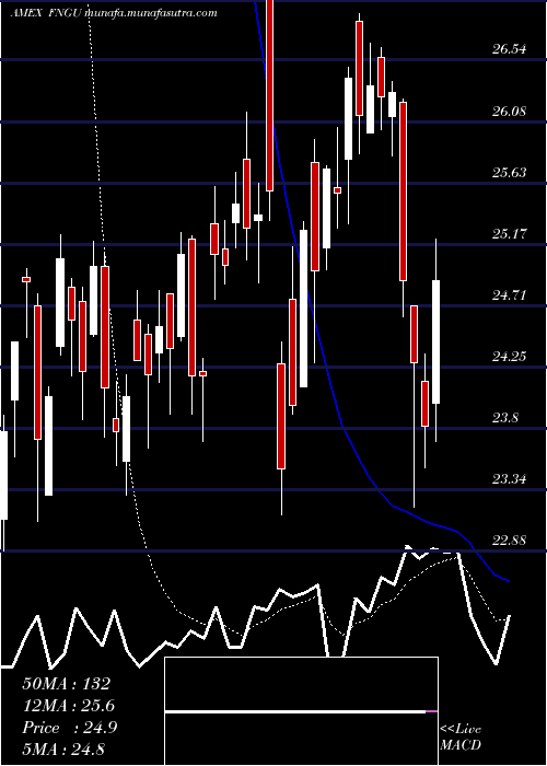  Daily chart MicrosectorsFang
