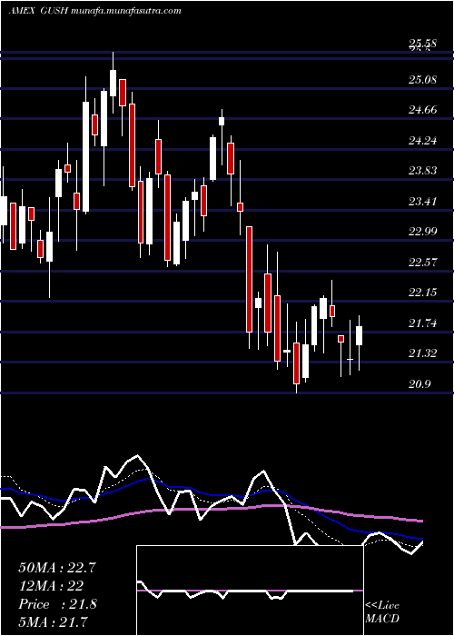  Daily chart DirexionDaily