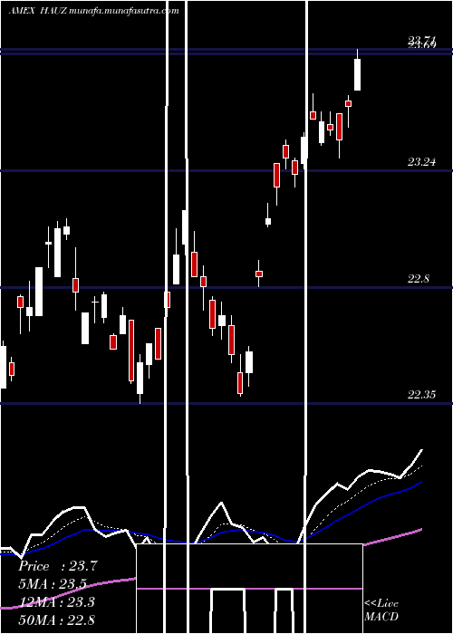 Daily chart XtrackersInternational