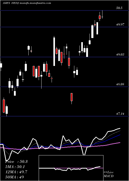  Daily chart IntlHedged