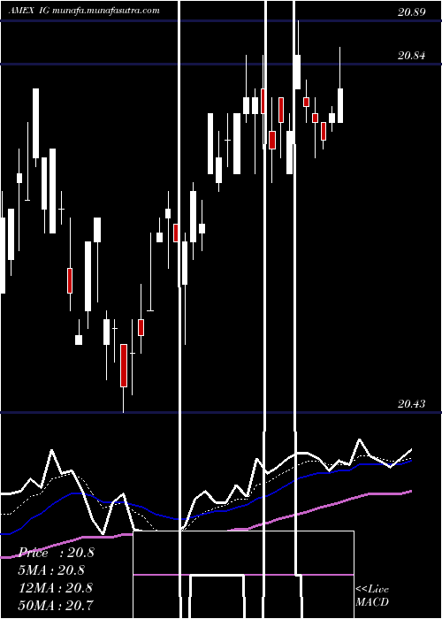  Daily chart IgiLaboratories