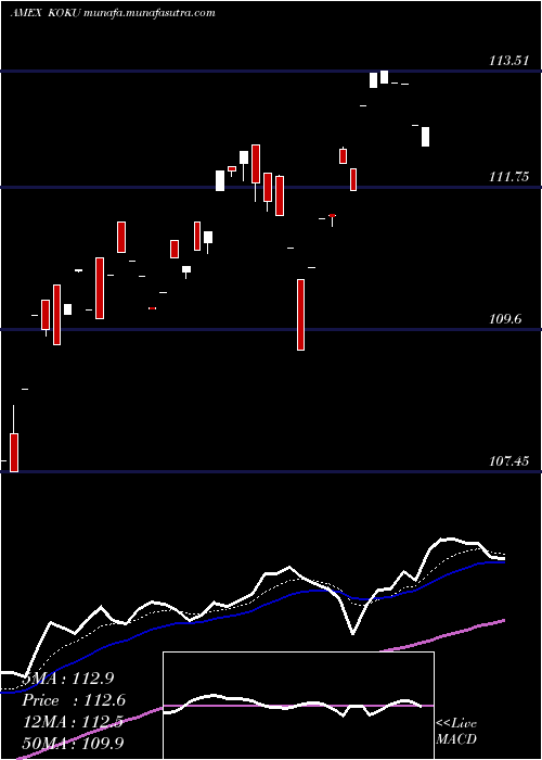  Daily chart XtrackersMsci