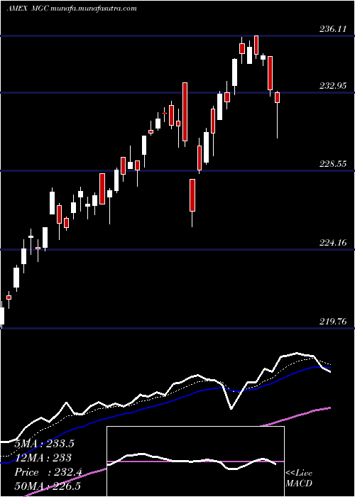  Daily chart Megacap300