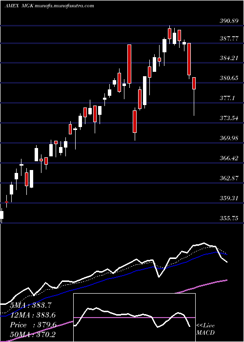  Daily chart Megacap300