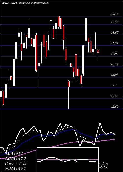 Daily chart DirexionDaily
