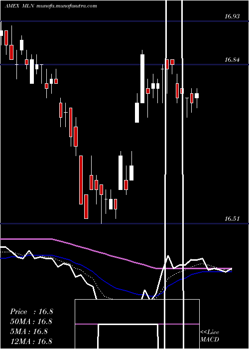  Daily chart LongMunicipal
