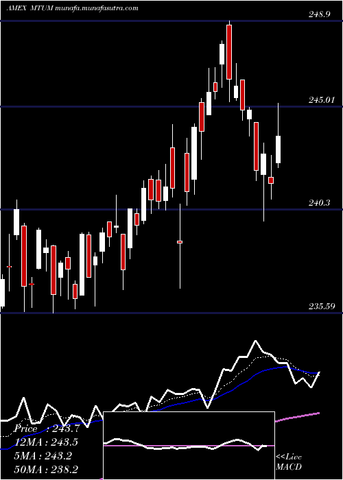  Daily chart MsciUsa