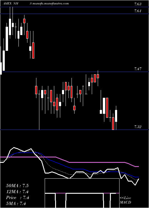 Daily chart NeubergerBerman