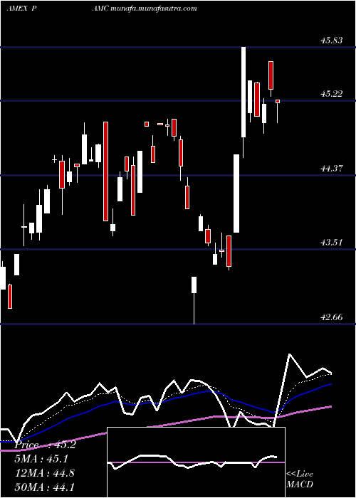  Daily chart PacerLunt