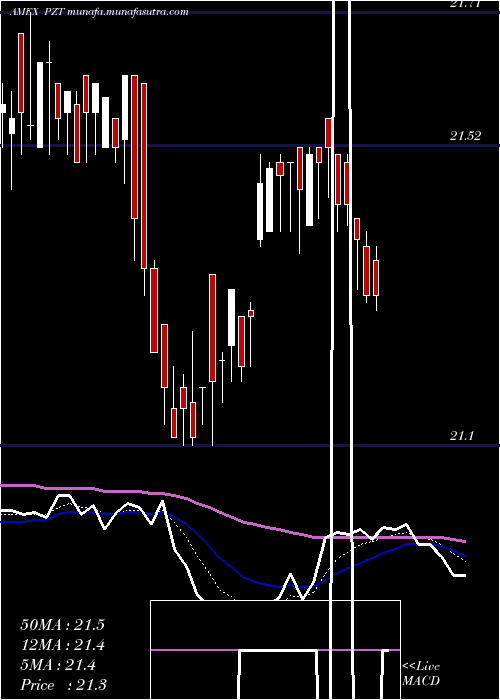  Daily chart InsuredNew