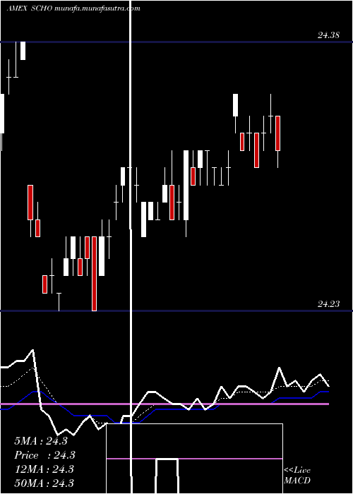  Daily chart SchwabShort