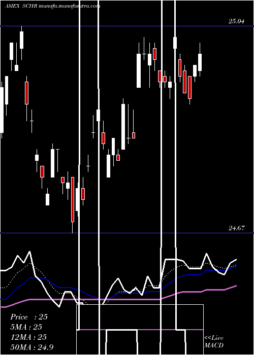  Daily chart SchwabInterm