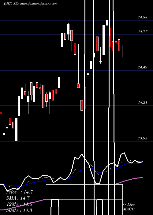  Daily chart ShippingGuggenheim