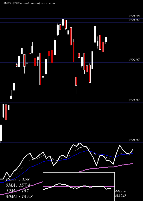  Daily chart MsciUsa