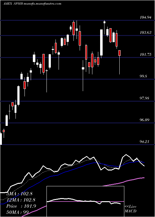  Daily chart SP