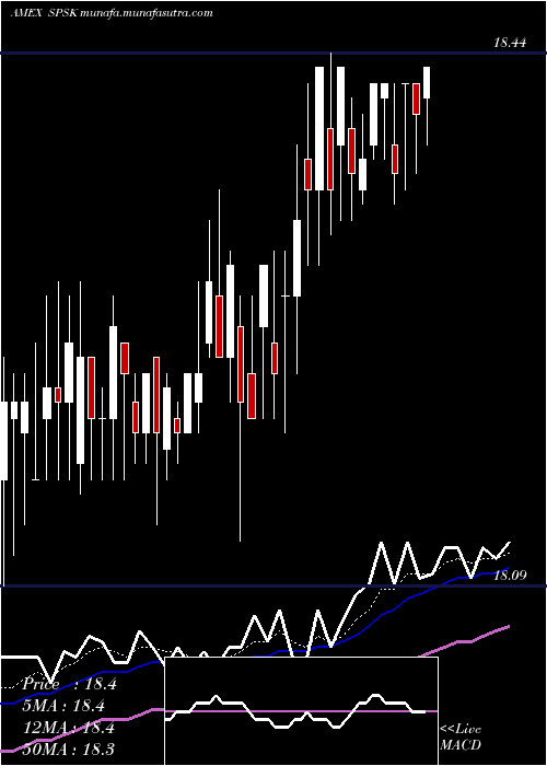  Daily chart TidalSp