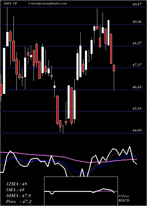  Daily chart UltrashortReal