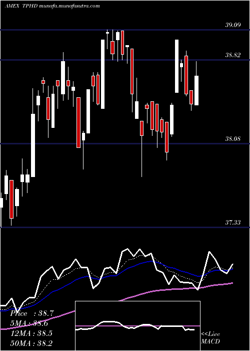  Daily chart TimothyPlan