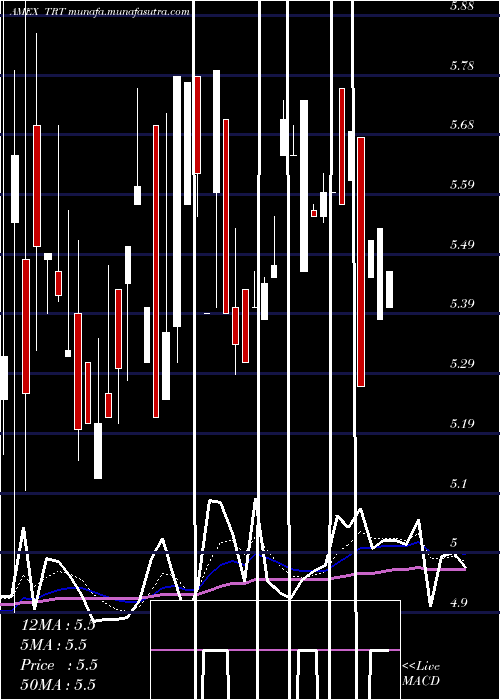  Daily chart TrioTech