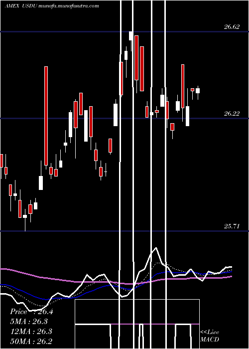  Daily chart WisdomtreeBloomberg