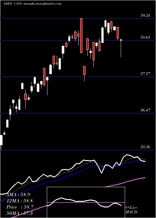  Daily chart XtrackersMsci