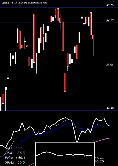  Daily chart UsVegan