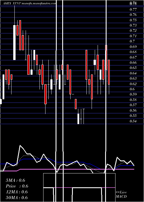  Daily chart XtantMedical