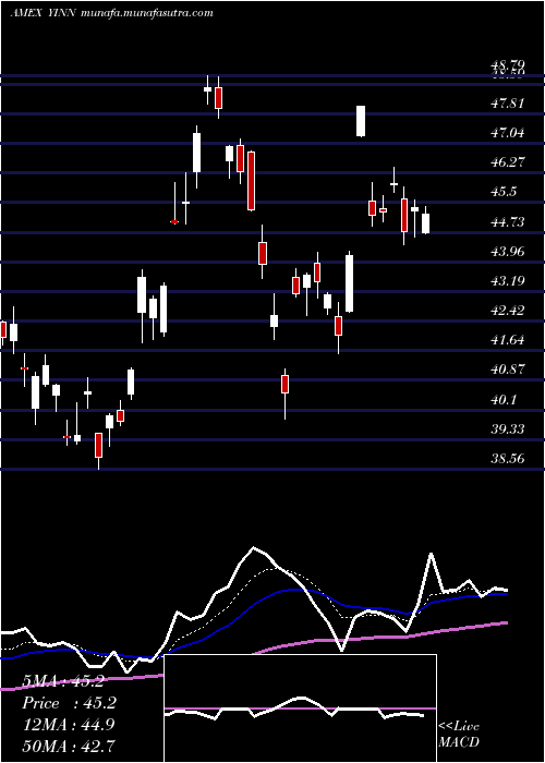  Daily chart DirexionDaily