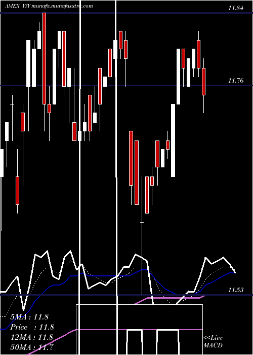  Daily chart YieldsharesHigh