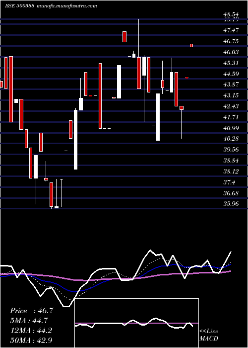  Daily chart ShreeKrishn