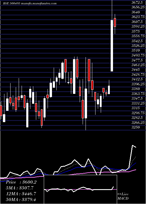 Daily chart Escorts