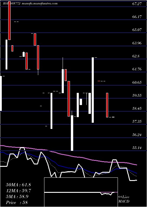  Daily chart ModellaWool