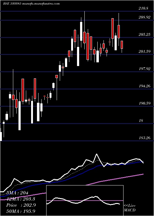  Daily chart N100