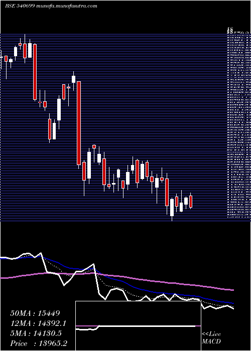  Daily chart Dixon