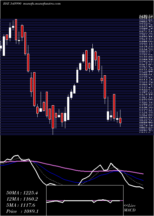  Daily chart Signature