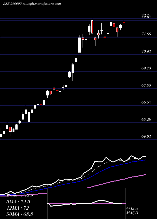  Daily chart Goldbees