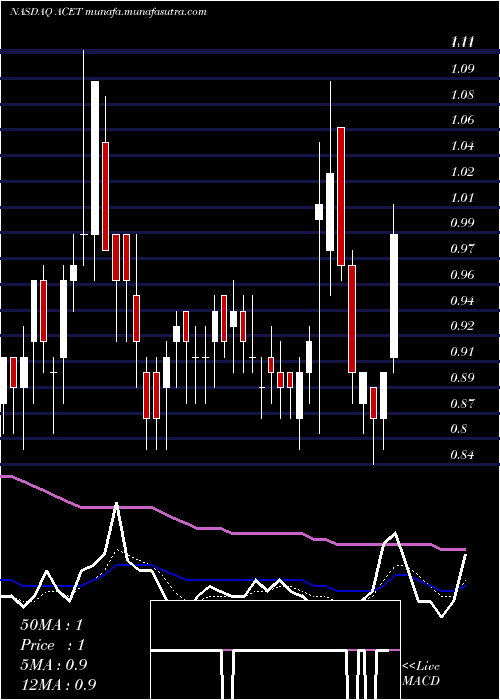  Daily chart AcetoCorporation