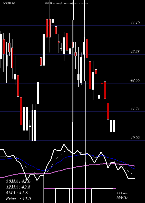  Daily chart BarrettBusiness