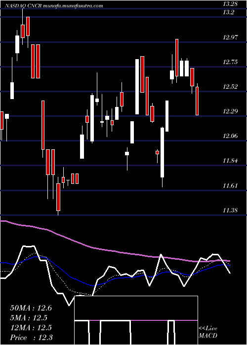  Daily chart LoncarCancer