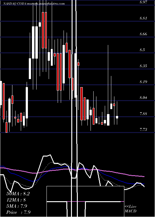  Daily chart CodaOctopus