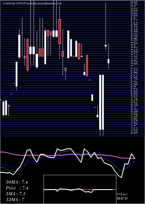  Daily chart CyclacelPharmaceuticals